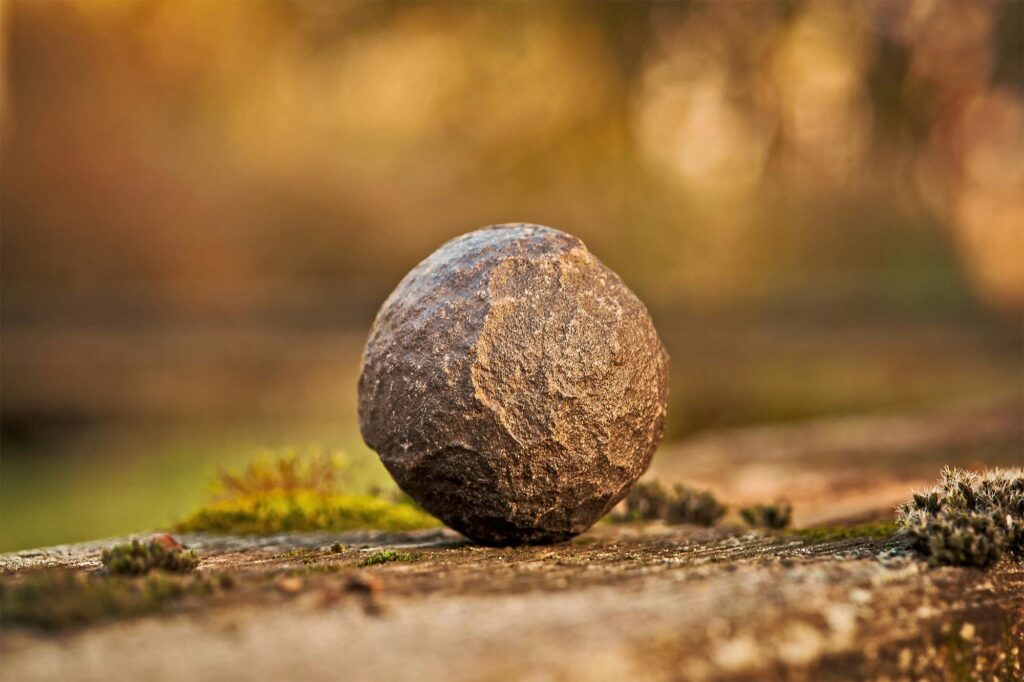 A detailed close-up of a textured round stone resting on grass with a blurred background.